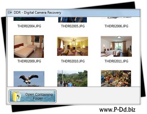 Screenshot of Digital Camera Image Retrieval Software