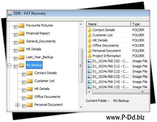 Screenshot of FAT Partition Files Salvage Software