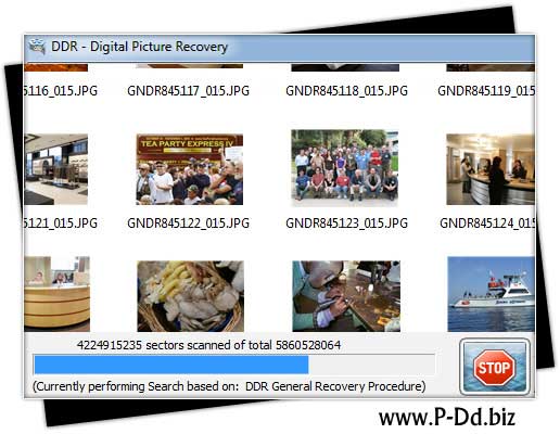 Digital, photograph, salvage, software, retrieve, deleted, image, windows, hard, disk, FAT, NTFS, partition, picture, recover, corrupted, photo, restore, lost, jpg, file, damaged, camera, backup, recovery, tool, regain, memory, card, pen, drive, snap